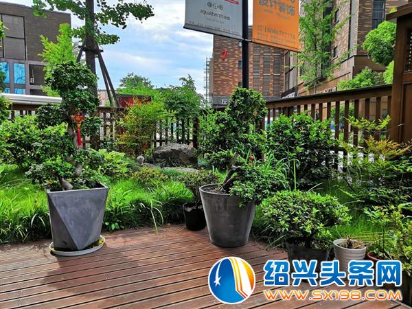 父亲节期间金德隆围炉盆景展销会蓄势再来-5 父亲节期间金德隆围炉盆景展销会蓄势再来-5