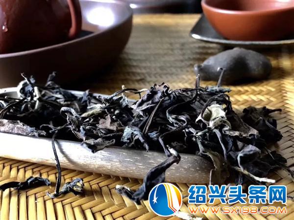 邀你品白茶-4
