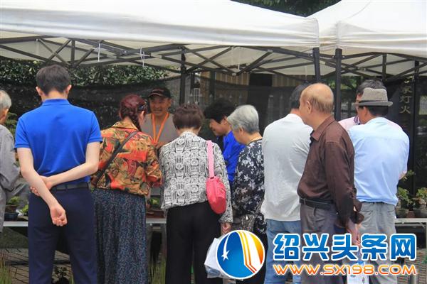 金德隆围炉盆景展-1