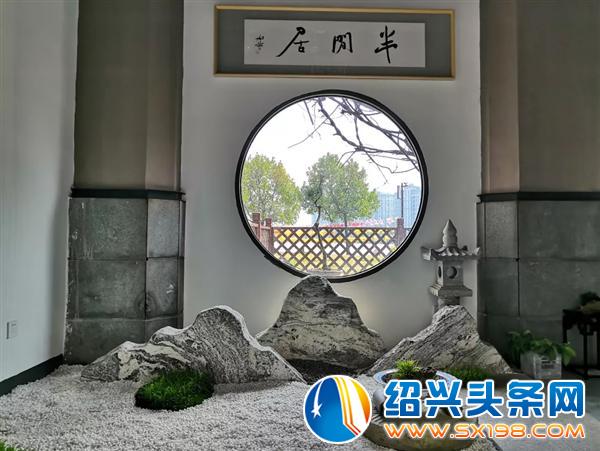 盆景入门-6