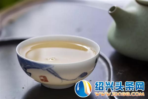 邀你品白茶-7 邀你品白茶-7