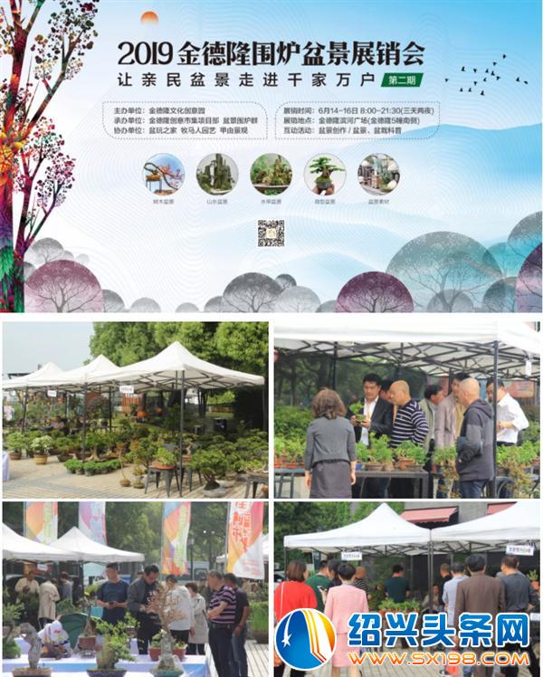 金德隆创意市集新添高颜值盆景 金德隆创意市集新添高颜值盆景