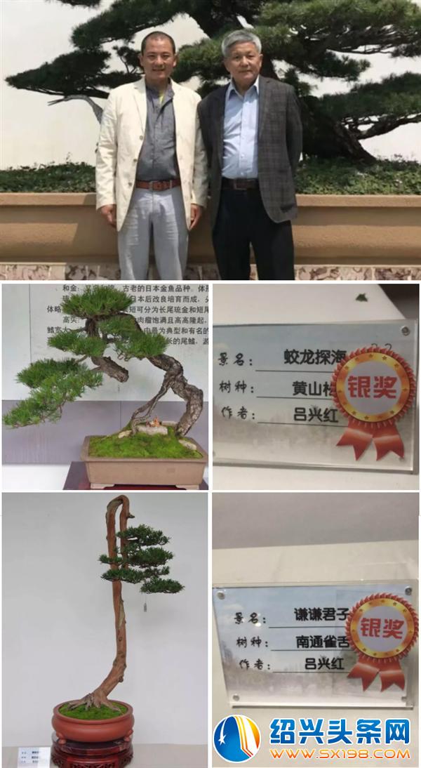 父亲节期间金德隆围炉盆景展销会蓄势再来-8