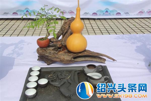 盆景入门-2