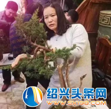 来金德隆-6 来金德隆-6