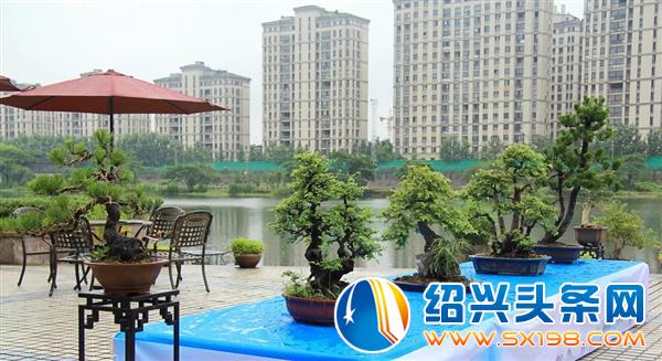 盛阅春市长一行调研绍兴文创大走廊之金德隆改扩建项目-5 盛阅春市长一行调研绍兴文创大走廊之金德隆改扩建项目-5