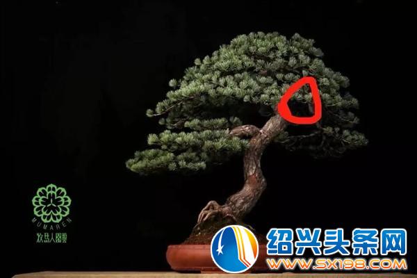 牧马人园艺创始人李岩-4