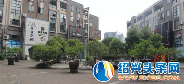 这个桔子不一般-1