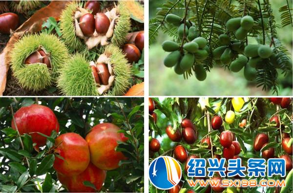 金德隆创意市集-1