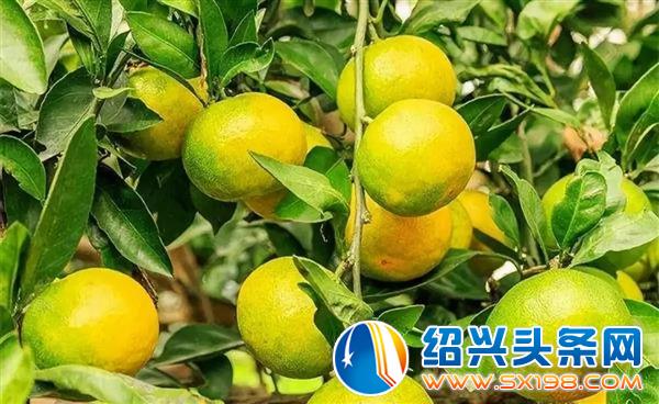 一大波美食好物向你来袭-10
