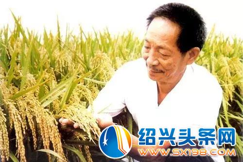 这是世界上最帅的职业