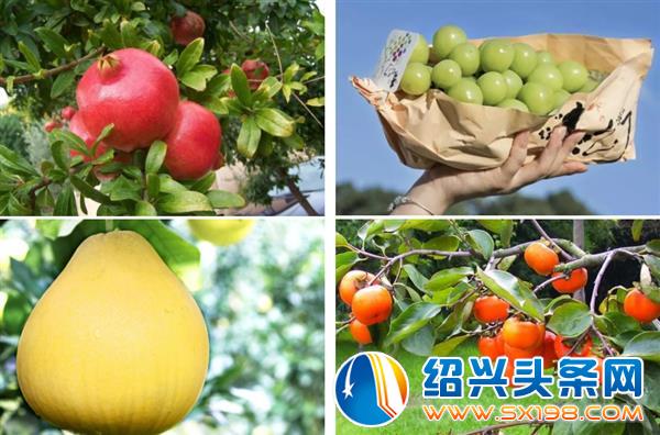 一大波美食好物向你来袭-7