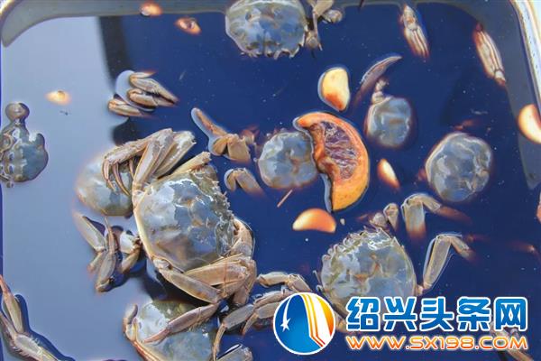 金德隆园区企业纷纷在创意市集露脸-2