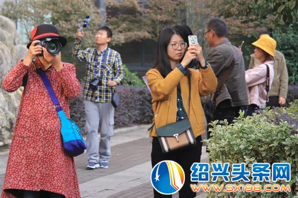 新媒体创意技能大赛参赛者来金德隆取景选材