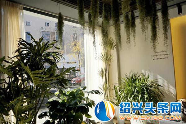 用花装点你的梦-6 用花装点你的梦-6