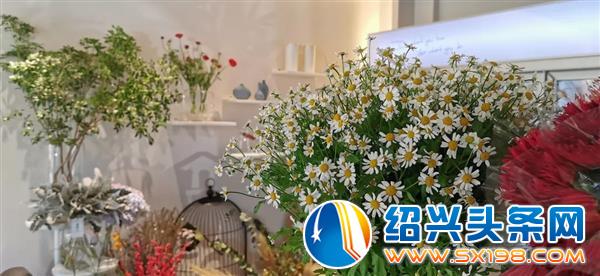 用花装点你的梦-1
