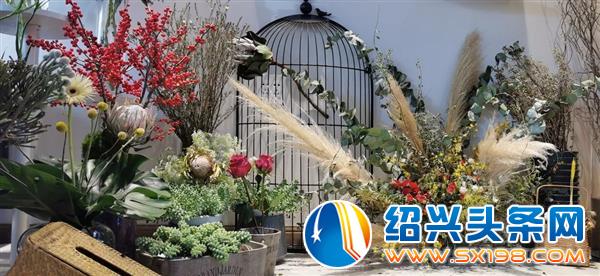 用花装点你的梦-3
