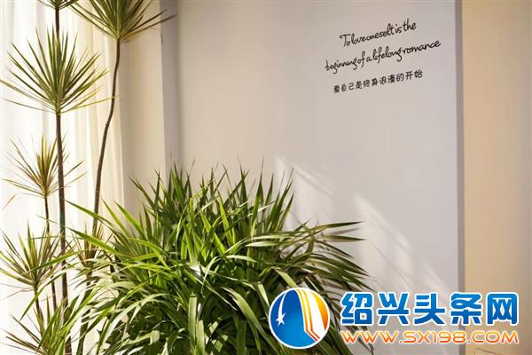 用花装点你的梦-11