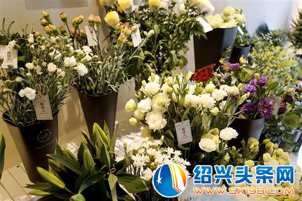 用花装点你的梦-4
