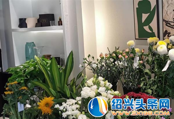 用花装点你的梦-2