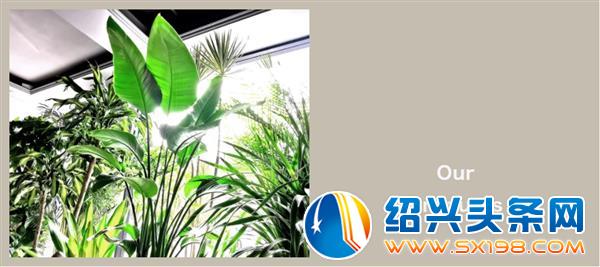 一间隐藏在金德隆的花植店-1