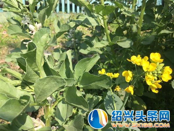 色迷金德隆-15