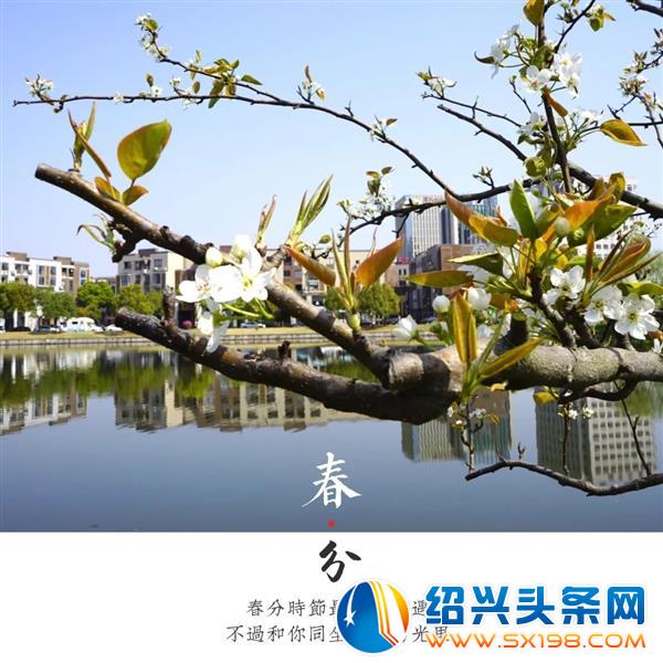 色迷金德隆