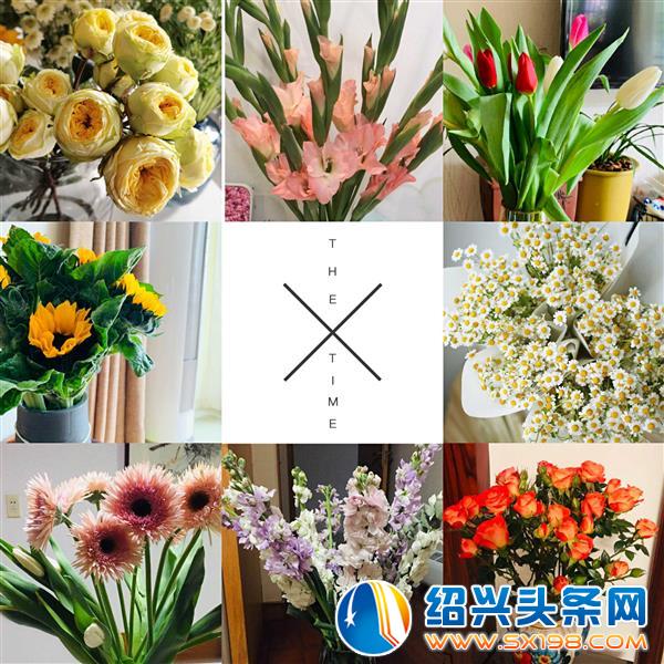 女神节-1 女神节-1
