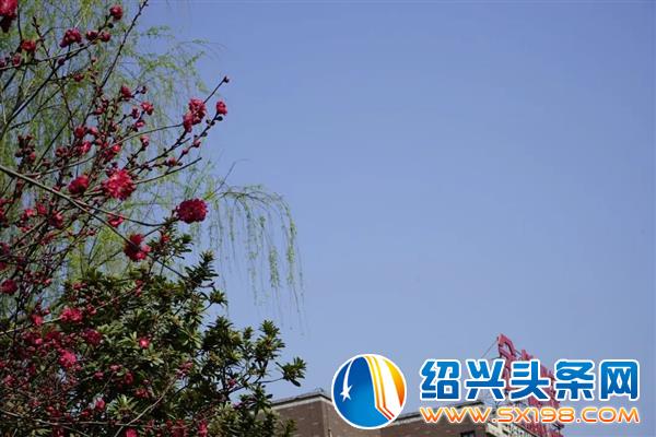 色迷金德隆-16