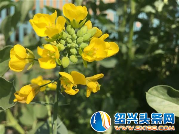 色迷金德隆-14