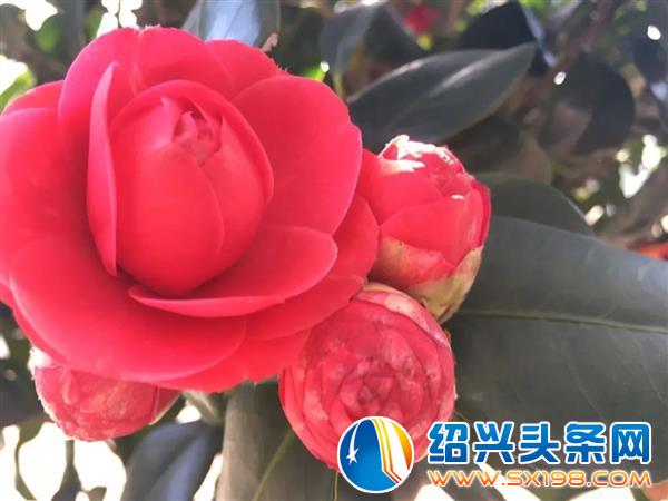 色迷金德隆-11