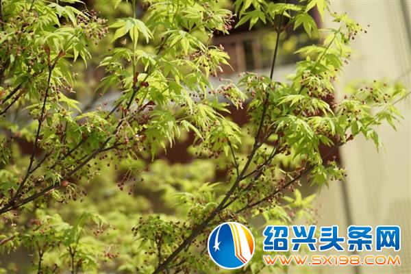 色迷金德隆-26 色迷金德隆-26