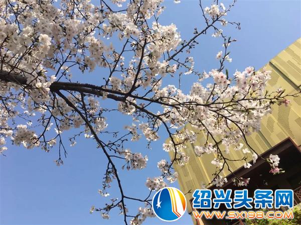 色迷金德隆-7