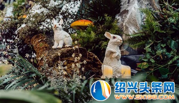 春暖花开-5