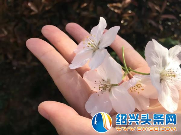 色迷金德隆-10