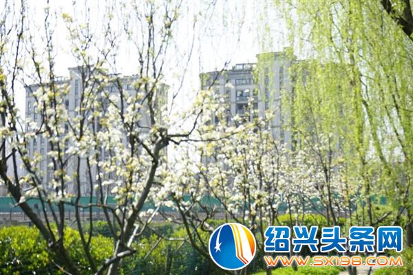 色迷金德隆-23