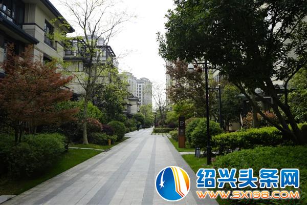 生活在这个地方-9
