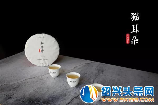 用一杯老树白茶-6