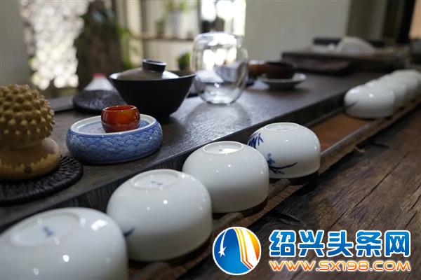 用一杯老树白茶-1