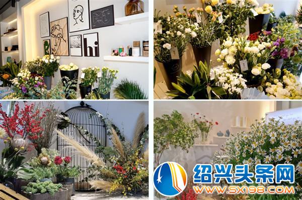 金德隆又有两家企业上电视了-4
