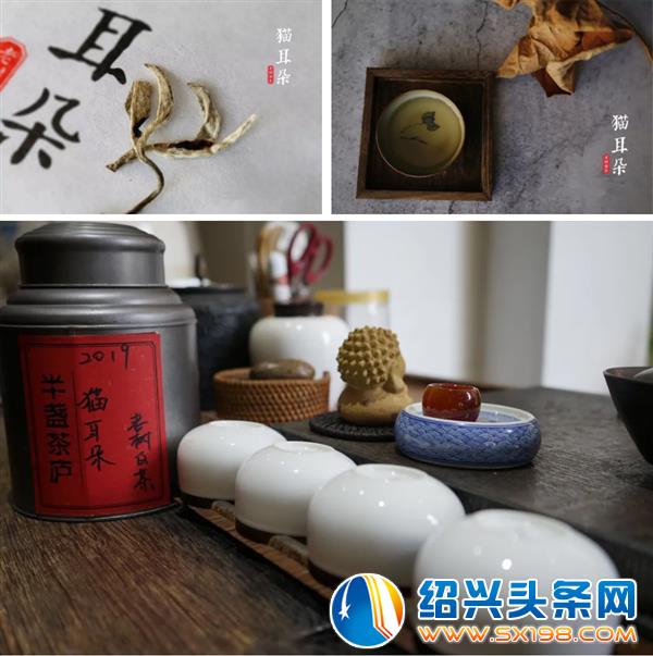 用一杯老树白茶-5