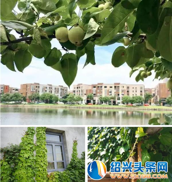 叫官渡南院-11