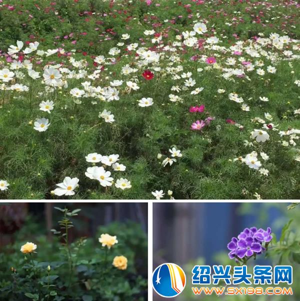 叫官渡南院-6
