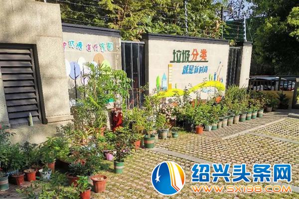 打造了一个开放大花园-8 打造了一个开放大花园-8