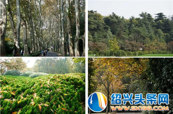 形尔尚组织员工游览六朝古都-2