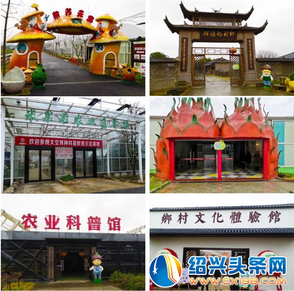 金德隆运营商女神们赴米果果研学游-3