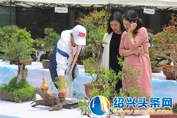 莺飞草长-1