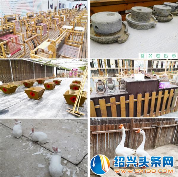金德隆运营商女神们赴米果果研学游-4