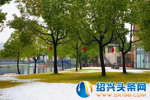 雪中金德隆-11