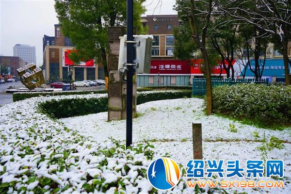 雪中金德隆-2
